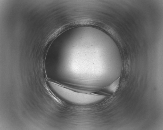 X0000080740397200701021152