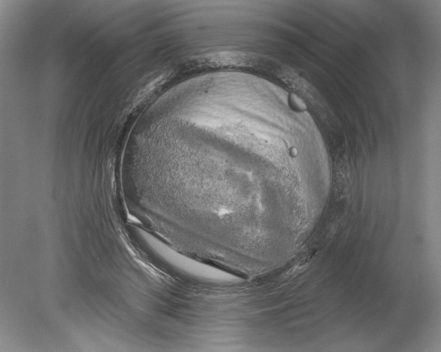 X0000080740398200701021152