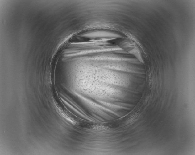 X0000080740399200701021152