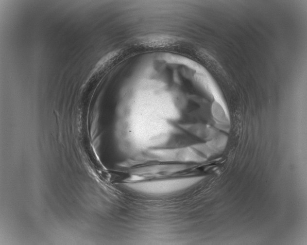 X0000080740400200701021152