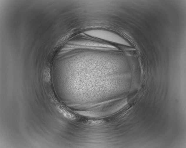 X0000080740401200701021152