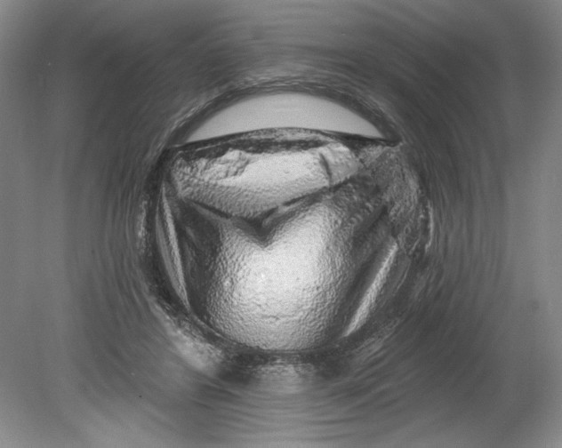 X0000080740404200701021152