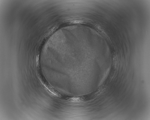 X0000080740406200701021152