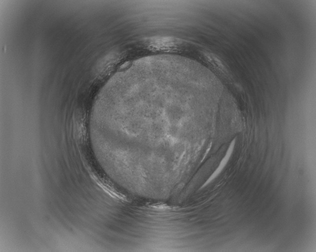 X0000080740408200701021152