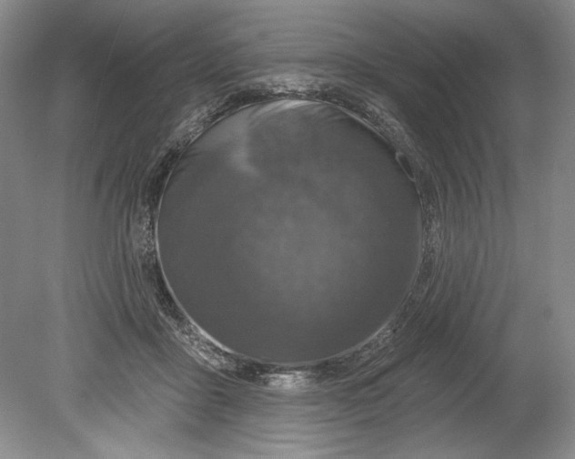 X0000080740411200701021152