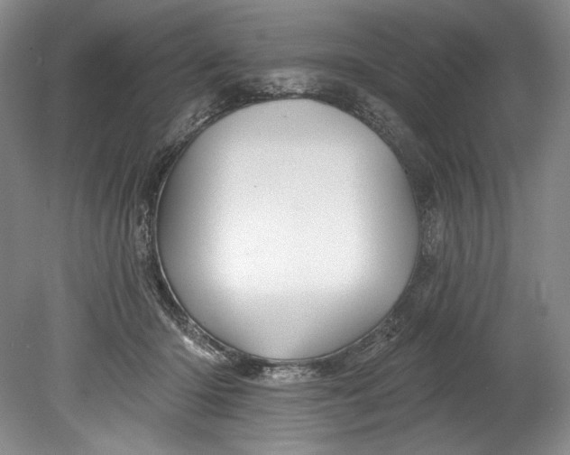 X0000080740414200701021152