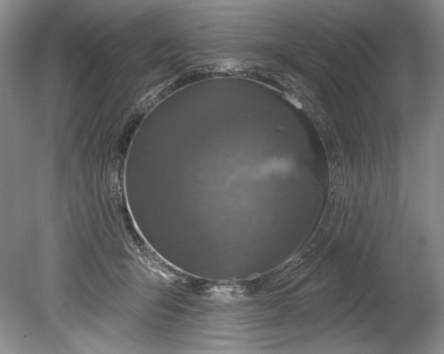 X0000080740415200701021152