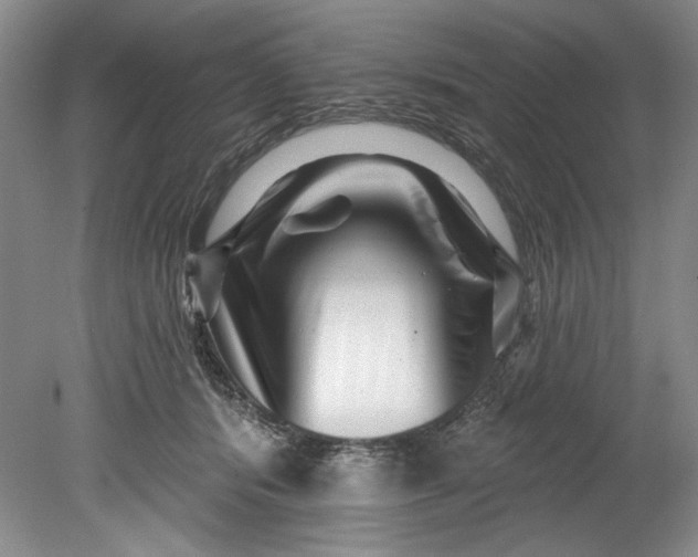 X0000080740416200701021152