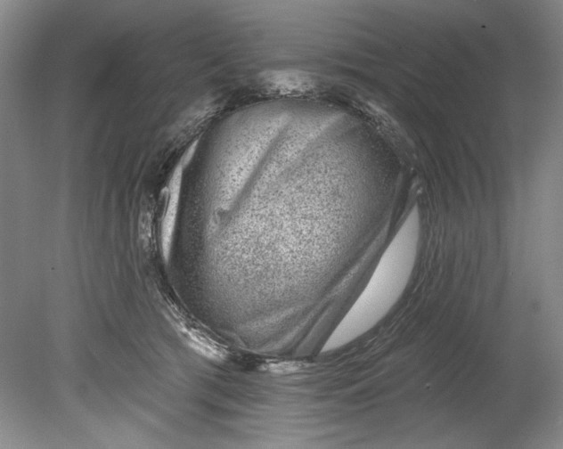 X0000080740417200701021152