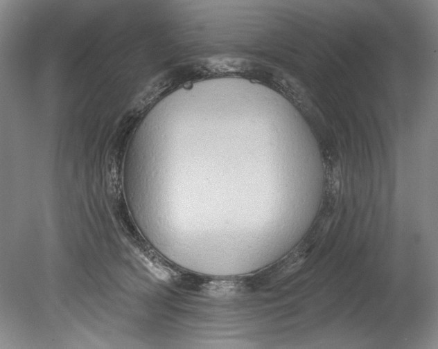 X0000080740418200701021152