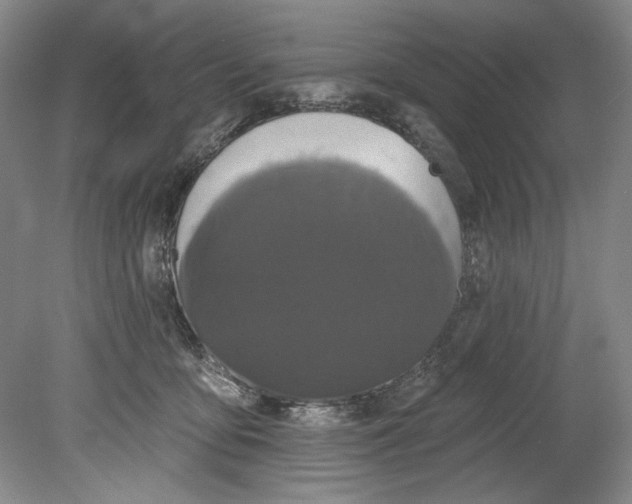 X0000080740419200701021152