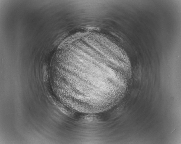 X0000080740420200701021152