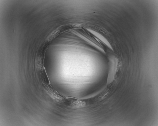 X0000080740421200701021152