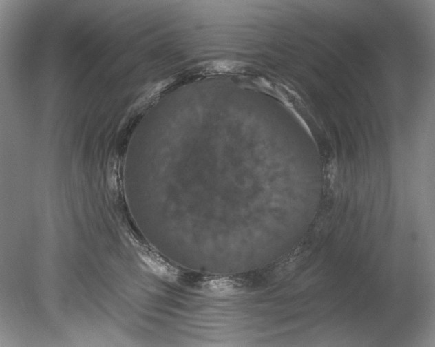 X0000080740423200701021151