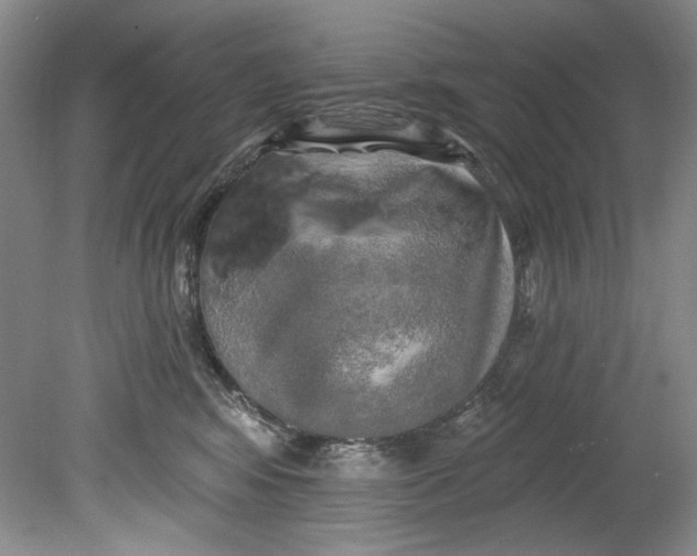 X0000080740424200701021151