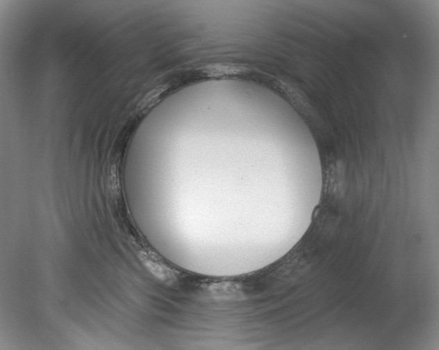 X0000080740426200701021151