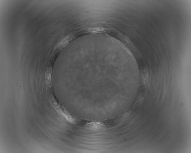 X0000080740427200701021151