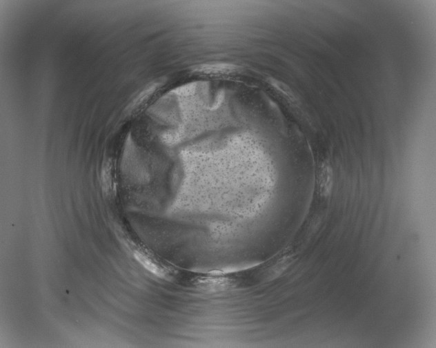 X0000080740428200701021151