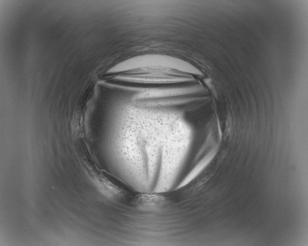 X0000080740429200701021151