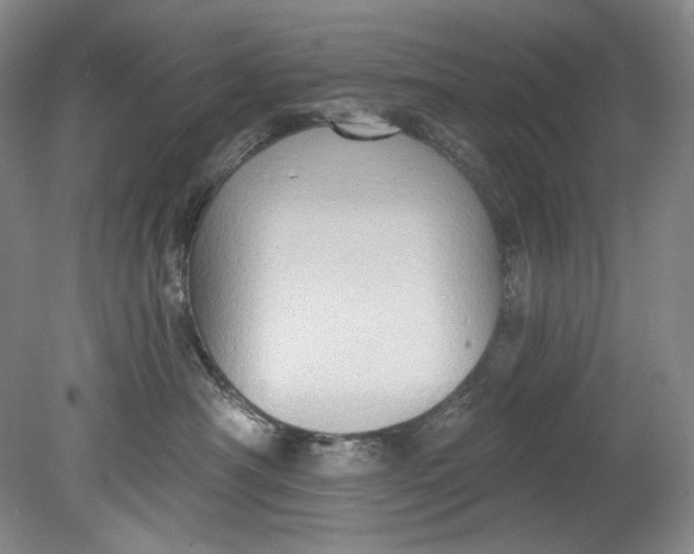 X0000080740430200701021151