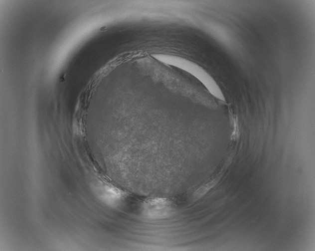 X0000080740431200701021151