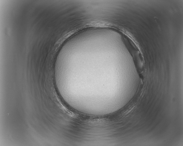 X0000080740433200701021151