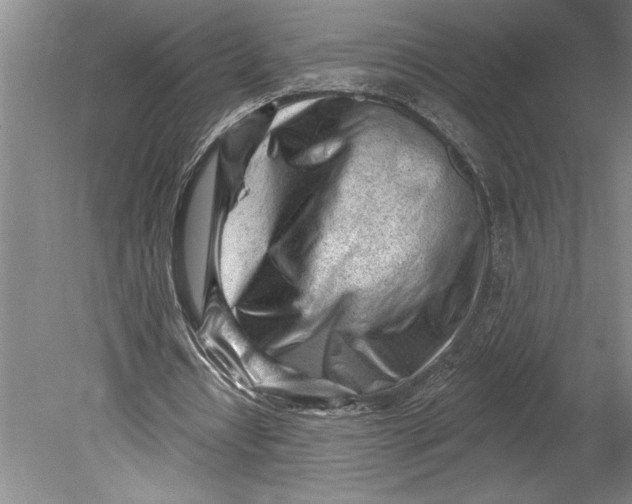 X0000080740434200701021151