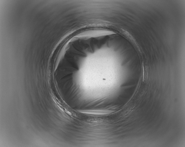 X0000080740435200701021151