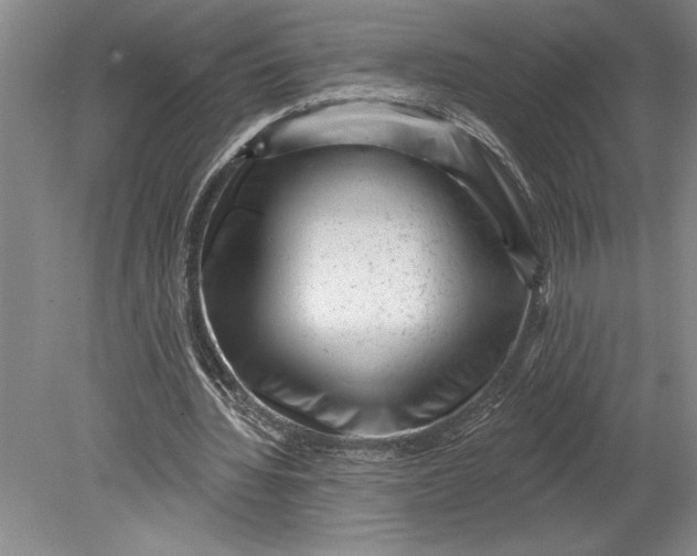 X0000080740436200701021151