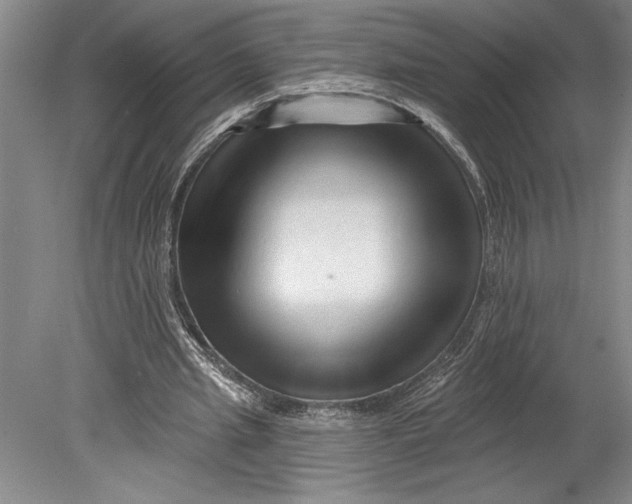 X0000080740437200701021151