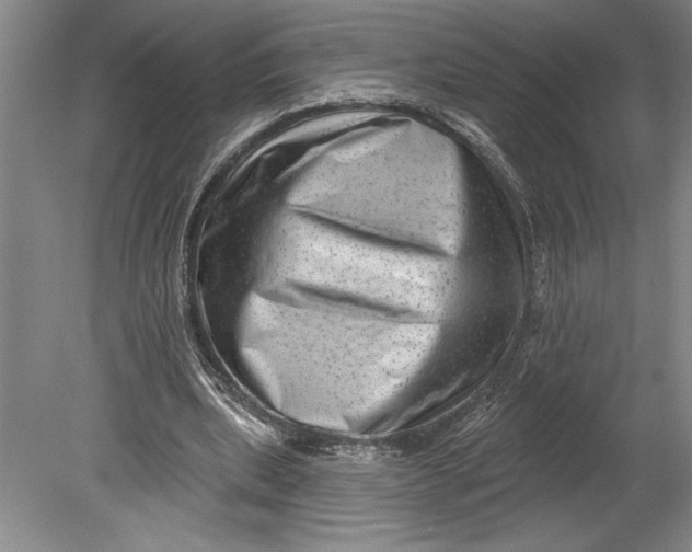 X0000080740439200701021151