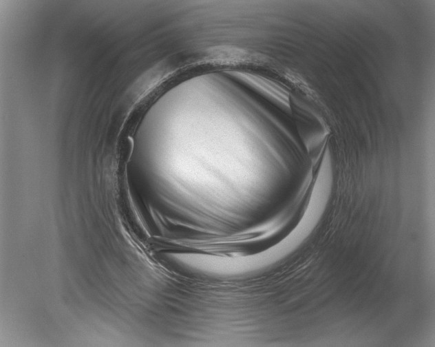 X0000080740440200701021151