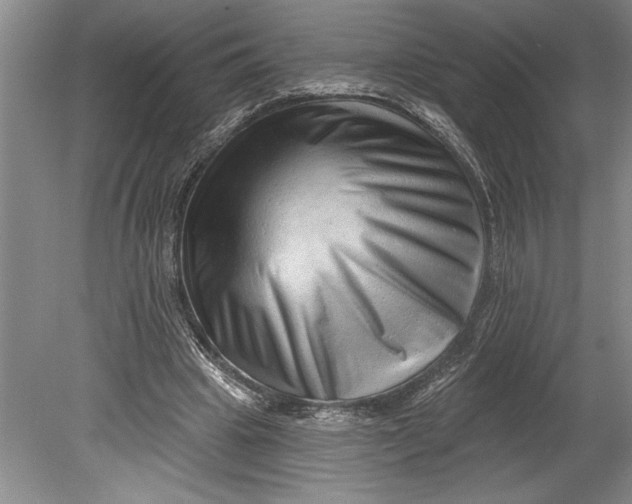 X0000080740441200701021151