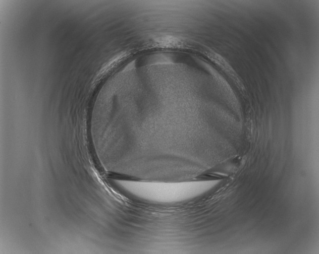 X0000080740442200701021151