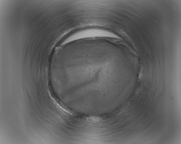 X0000080740444200701021151