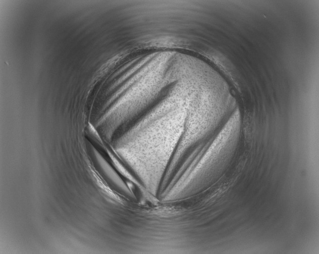 X0000080740445200701021151