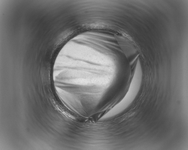 X0000080740446200701021151