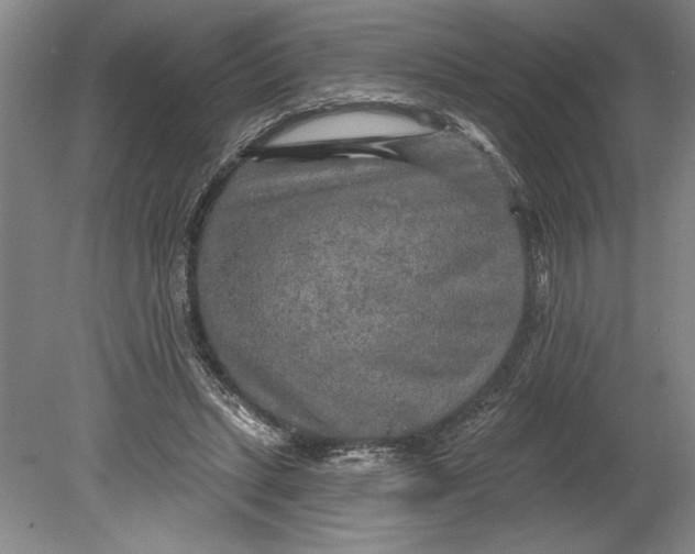 X0000080740447200701021151