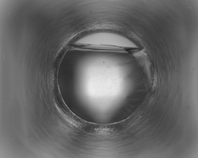 X0000080740448200701021151