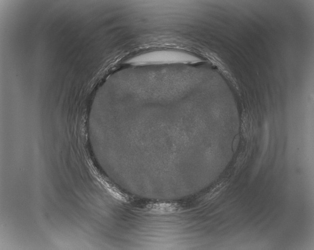 X0000080740449200701021151