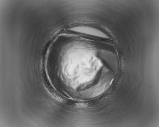 X0000080740451200701021151