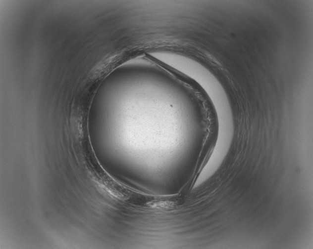 X0000080740452200701021151