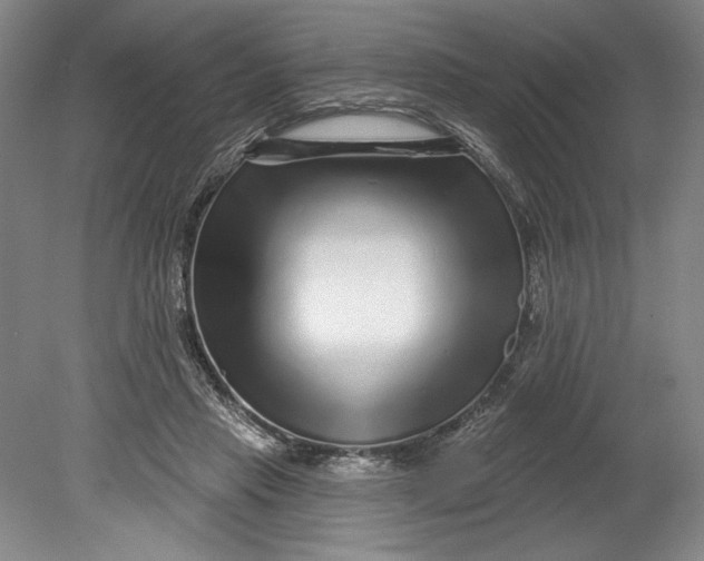 X0000080740453200701021151