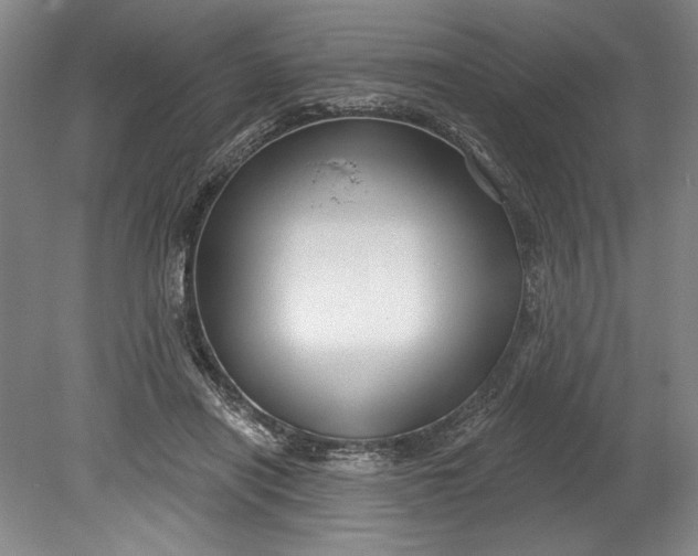 X0000080740454200701021151