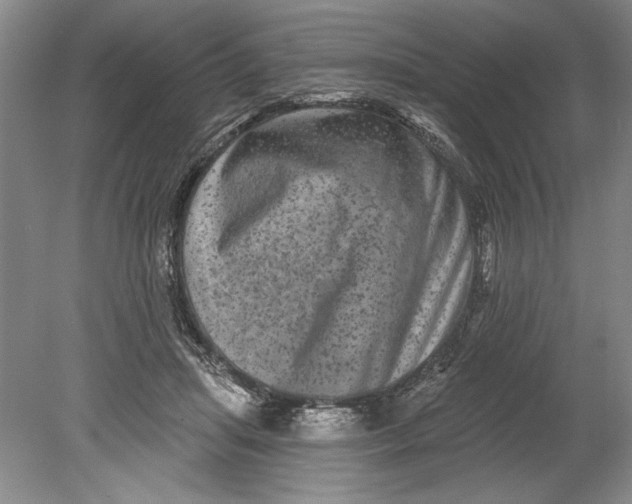 X0000080740455200701021151