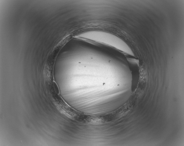 X0000080740456200701021151