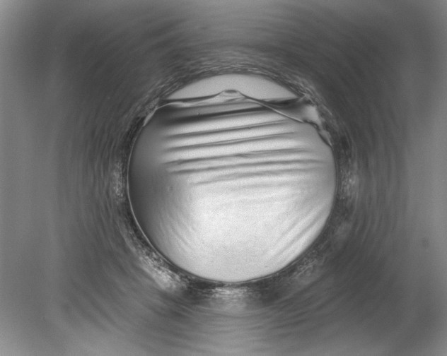 X0000080740457200701021151