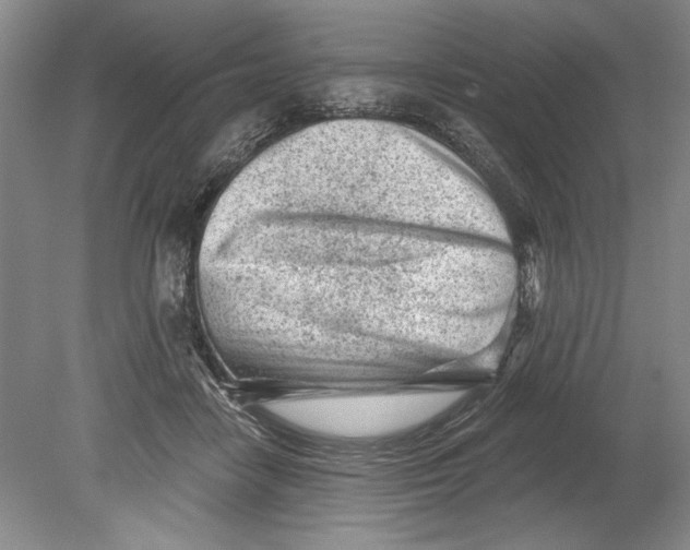 X0000080740458200701021151