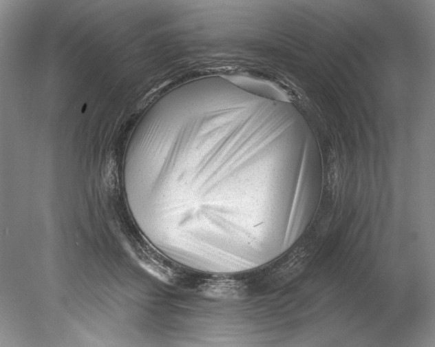 X0000080740459200701021151