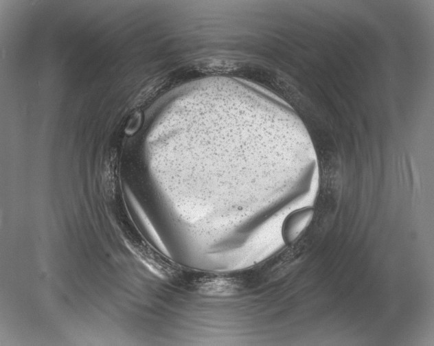 X0000080740460200701021151